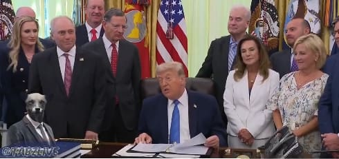 «Lamento decirle esto a México, pero vamos por los narcos vía terrestre»; Trump