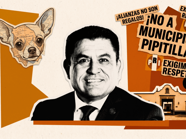 En alianzas si nos van a dar los municipios “pipitilla” les vamos a decir que no; Alex Domínguez