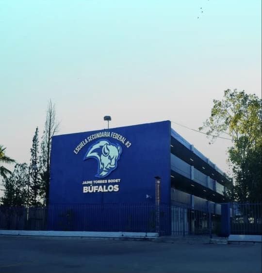 IMG-20260610-WA0095