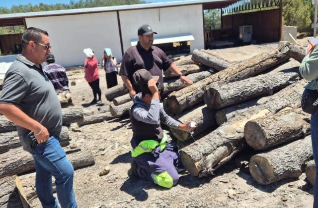 Se reúne la UACH y productores; buscan aprovechamiento forestal