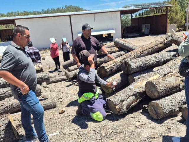 Se reúne la UACH y productores; buscan aprovechamiento forestal