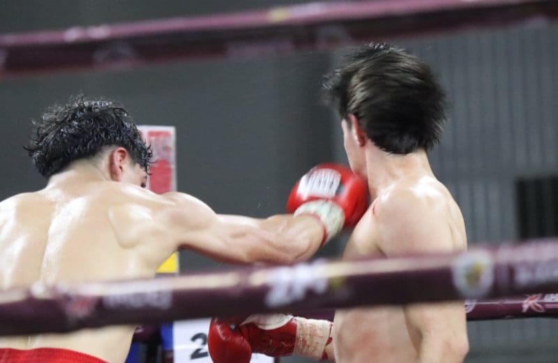 Boxeadores chihuahuenses buscan sumar calificación a Montenegro
