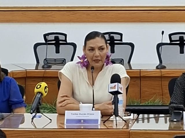 impulsa IEE Chihuahua participación ciudadana con acciones integrales