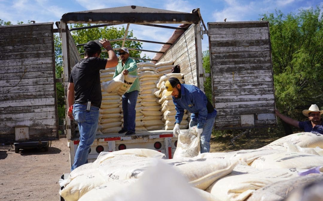 Fortalecen la actividad pecuaria con apoyos para productores de la capital