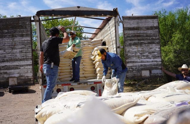 Fortalecen la actividad pecuaria con apoyos para productores de la capital
