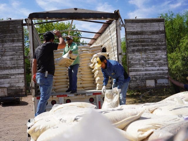 Fortalecen la actividad pecuaria con apoyos para productores de la capital