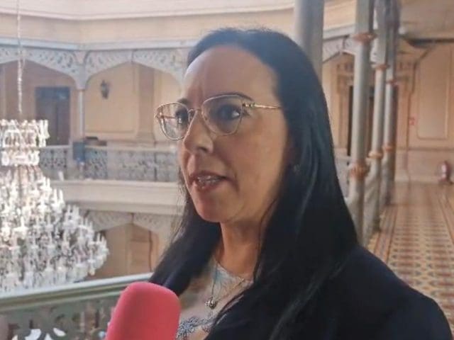 Sector manufacturero en Chihuahua cierra primer semestre con estabilidad: Index