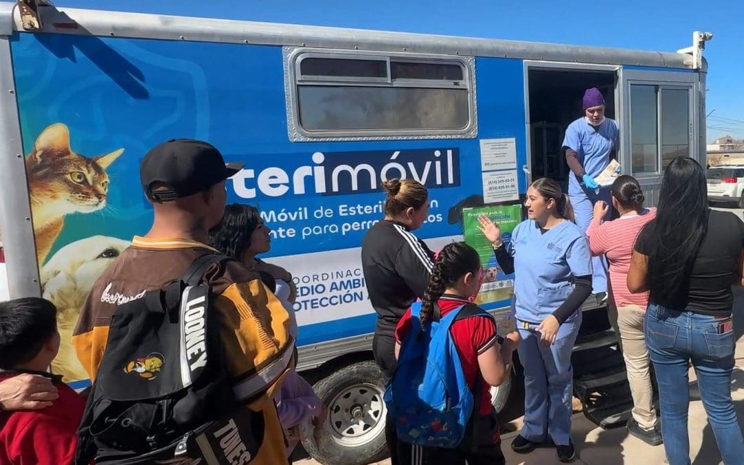 Esterilización, vacunación y desparasitación llegan a comunidades rurales de Chihuahua Capital