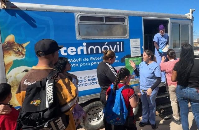 Esterilización, vacunación y desparasitación llegan a comunidades rurales de Chihuahua Capital