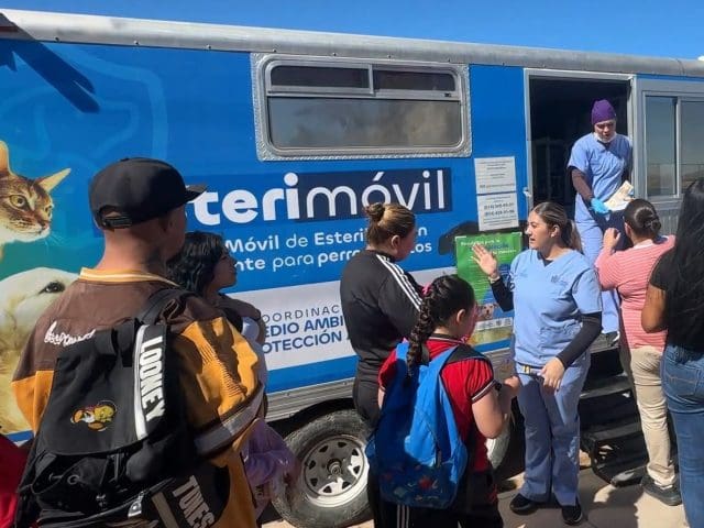 Esterilización, vacunación y desparasitación llegan a comunidades rurales de Chihuahua Capital