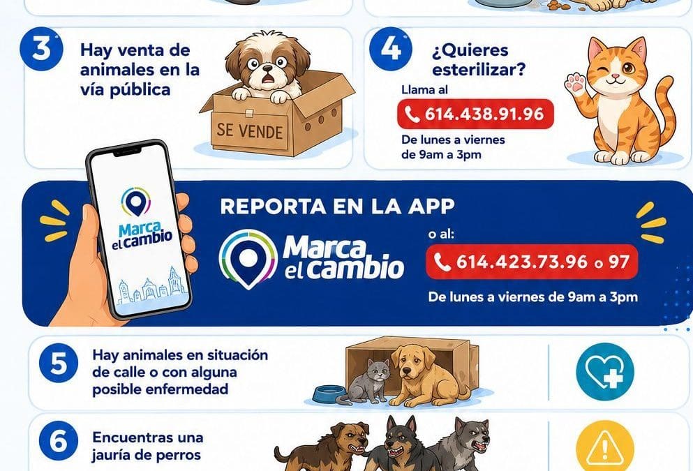 Llaman a combatir el abandono de mascotas y fomentar la tenencia responsable