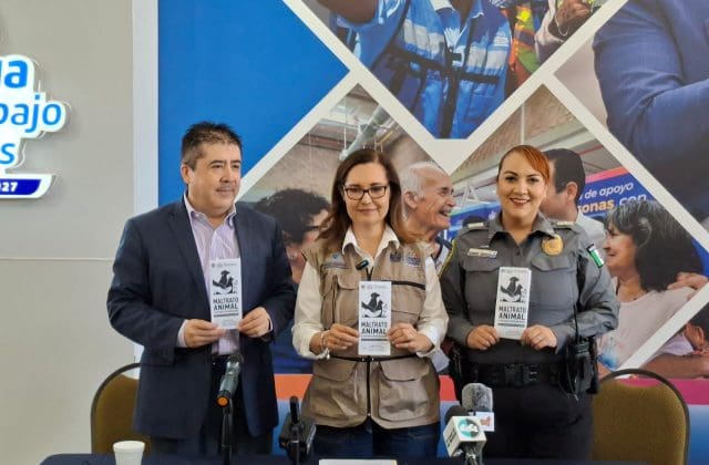 Anuncian foro para prevenir el maltrato animal y fortalecer políticas públicas