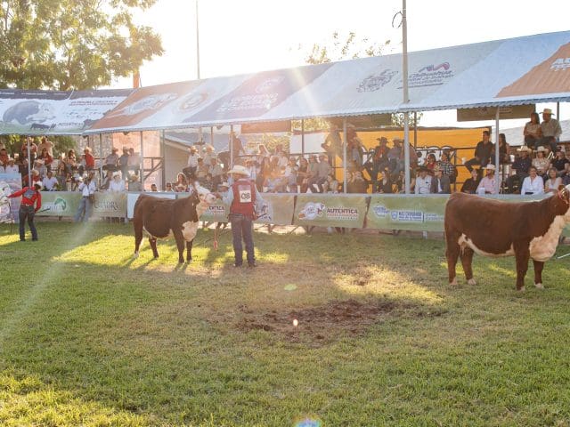 Conoce las fechas del ExpoGan 2026