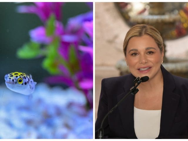Invita Maru Campos a visitar el acuario de Guachochi