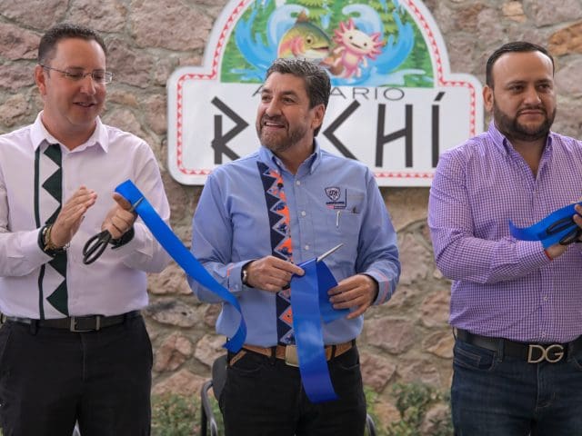 Inauguran acuario Rochí en Guachochi: 600 ejemplares de 53 especies, entre ellos el ajolote endémico