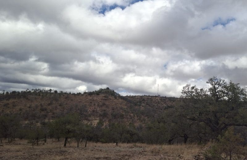 Persistirá el calor en Chihuahua; prevén lluvias y fuertes vientos en varias regiones del estado