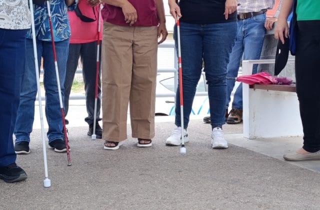 Comités de Vecinos participan en actividades para promover la inclusión y la empatía
