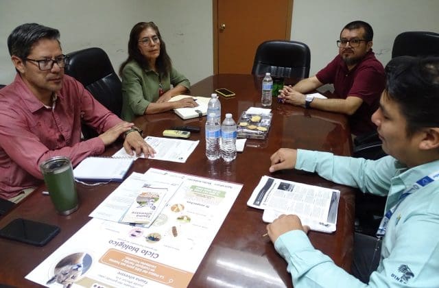 Sin casos de gusano barrenador en fauna silvestre; piden reportar sospechas