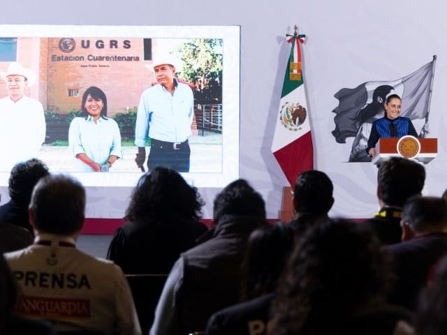 México reanuda exportación de ganado a Estados Unidos desde Sonora
