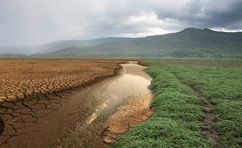 La UACH analiza pastizales, por efectos del cambio climático