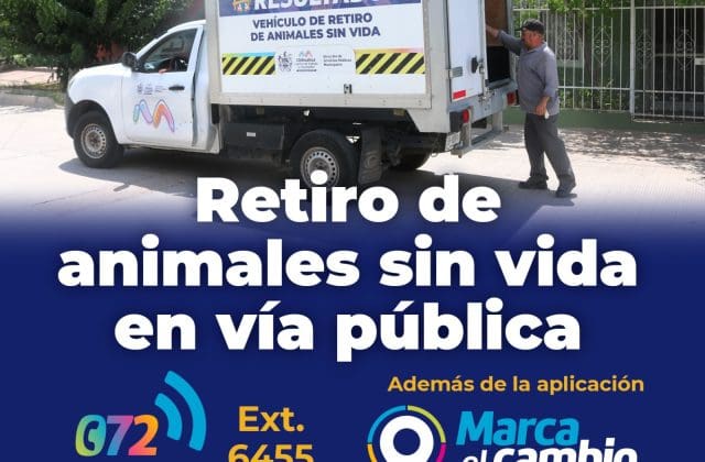 Mantienen servicio de retiro de animales sin vida en la vía pública
