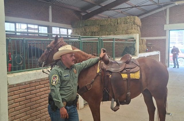 Policía Montada fortalece vigilancia y apoyo en zonas de difícil acceso