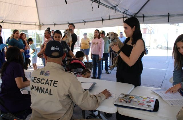 Ofrecerán vacunación y servicios gratuitos para mascotas en Parque Fundadores