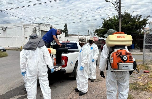Llevarán servicios gratuitos para prevenir la rickettsiosis a cuatro colonias de la capital