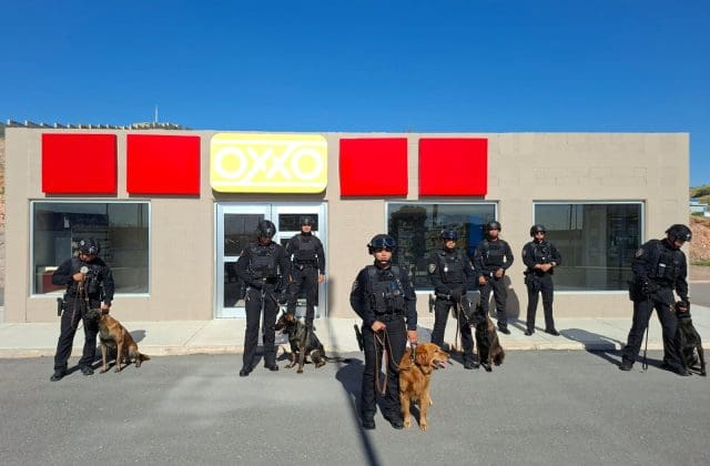 Unidad K9 de la DSPM cuenta con 18 perros para labores policiales