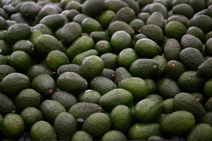 aguacate