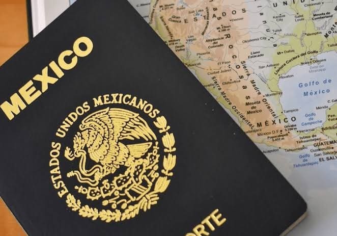 SRE plantea impedir pasaporte a deudores alimentarios morosos