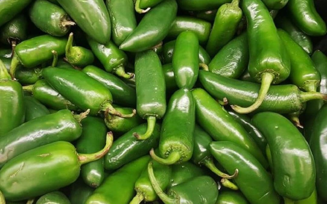 EU ahora vincula chiles jalapeños mexicanos con brote de salmonela; ya suman 345 casos