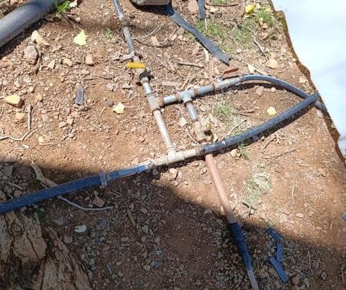 En espera JMAS de orden judicial para acceder a predios con tomas clandestinas de agua