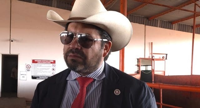 Alistan 10 mil cabezas de ganado por semana para exportarlas a Estados Unidos