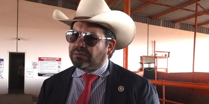 Alistan 10 mil cabezas de ganado por semana para exportarlas a Estados Unidos