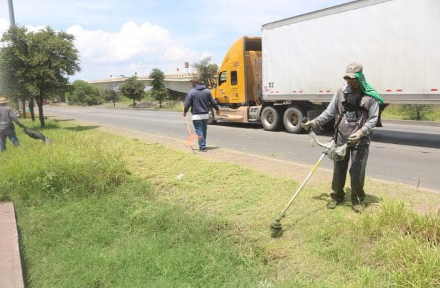 Retiran 246 toneladas de basura de vialidades durante agosto
