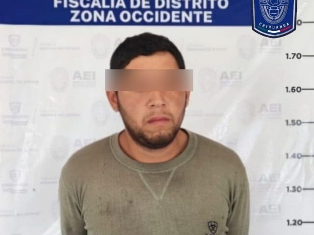 Alteró permisos para transportar toneladas de madera