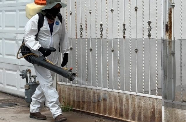 Municipio reforzará prevención de rickettsia en cuatro colonias con “Patio de mi casa”