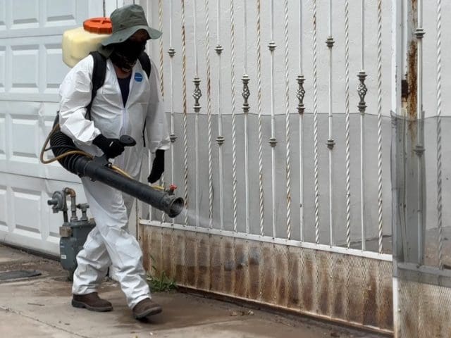Municipio reforzará prevención de rickettsia en cuatro colonias con “Patio de mi casa”