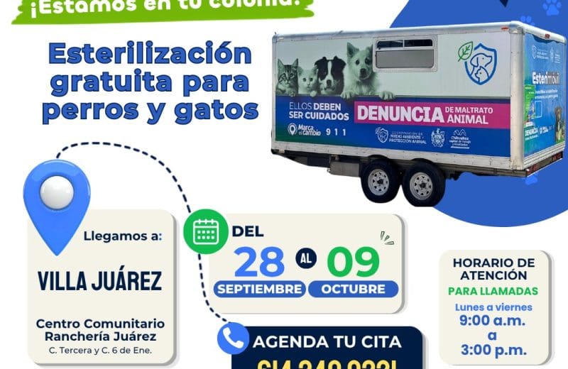 Llevará Municipio Esterimovil a Villa juárez con esterilizaciones gratuitas para perros y gatos 