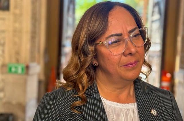Libertad de expresión debe protegerse: CEDH ante la «Ley Meme»