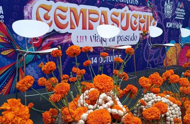 Llevarán “Raíces y Recuerdos: Cempasúchil, un viaje al pasado” a Plaza de Armas