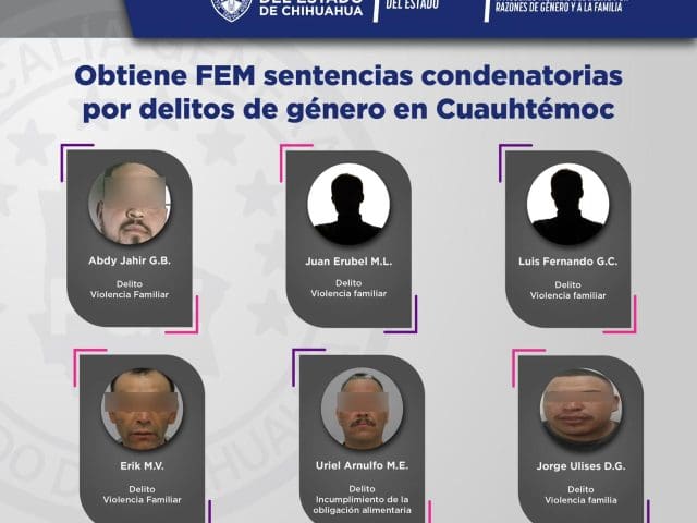 Fueron detenidos 6 hombres por delitos por razón de género