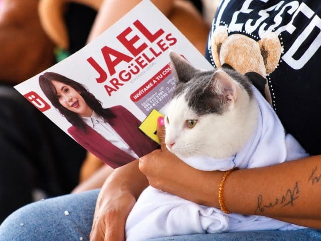 Jael Arguelles lleva feria de servicios en cd Juárez