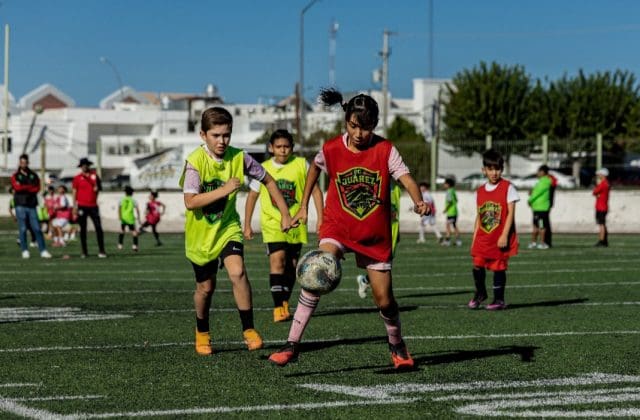 Más de 1500 jugadores son observados en Bravos