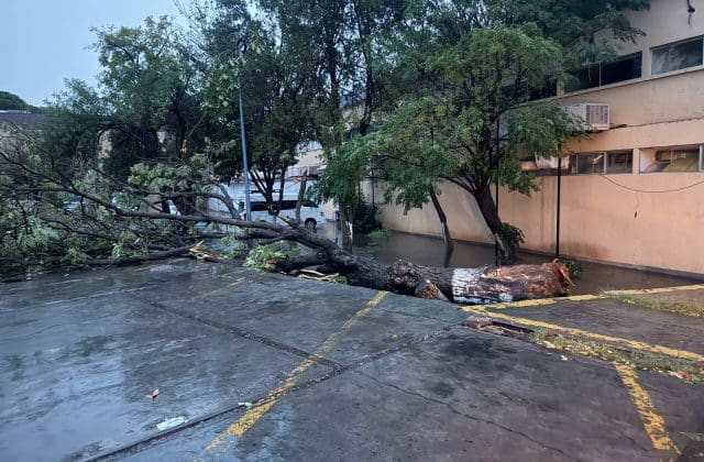 UACH atiende daños en infraestructura tras lluvias