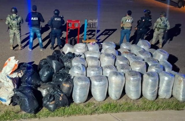 Aseguran 983 kilos de presunta marihuana y equipo de empaquetado en Parral