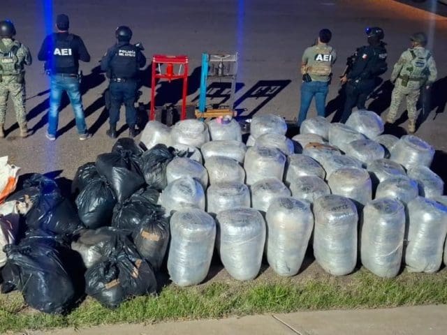 Aseguran 983 kilos de presunta marihuana y equipo de empaquetado en Parral
