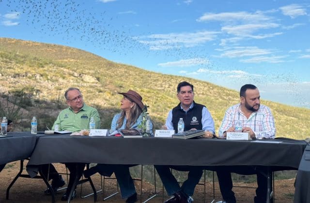 Destacan en Santa Eulalia el papel de los murciélagos en la agricultura y el medio ambiente