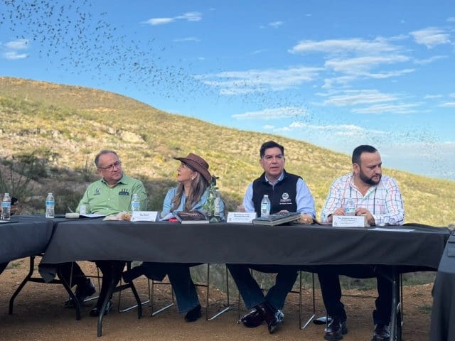 Destacan en Santa Eulalia el papel de los murciélagos en la agricultura y el medio ambiente